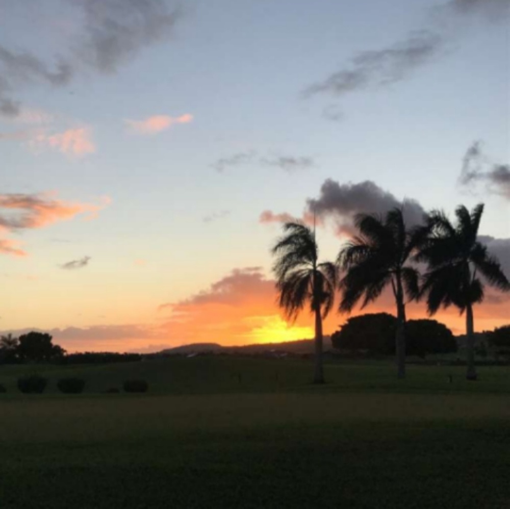 Meet your Posher, Gloria